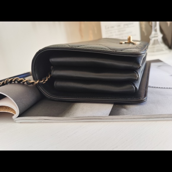 Chanel Most Wanted Princess Enamel Calfskin Bag - Picture 7 of 15